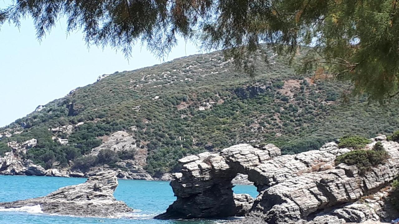 Ellina'S Home - Euboea Island Greece Oxílithos Exteriér fotografie